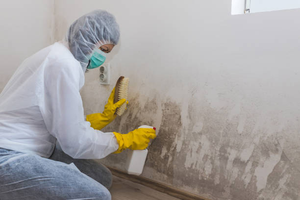 Best Mold Prevention Services  in Scottdale, GA